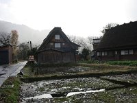 IMG_1302
