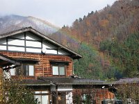 IMG_1314
