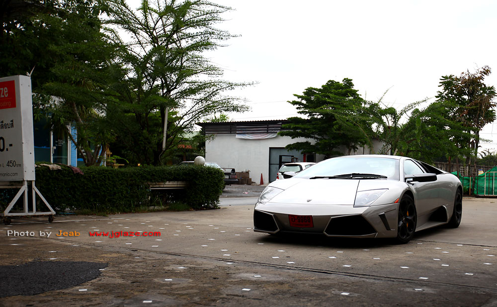 murcielago_100.jpg